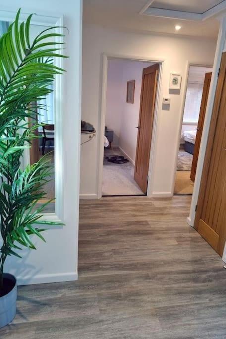 Apartment Spacious With Panoramic Sea View, Free Parking Ev & Large Garden Mousehole